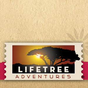 Lifetree Mission Flyer